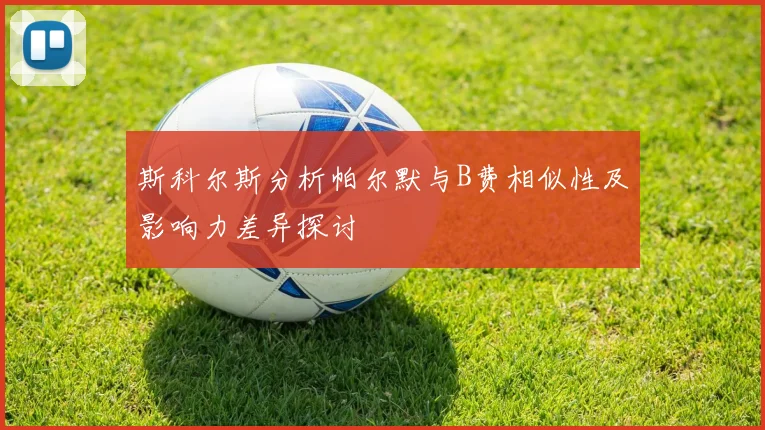 斯科尔斯分析帕尔默与B费相似性及影响力差异探讨