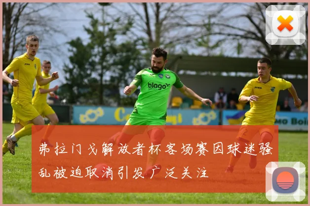 弗拉门戈解放者杯客场赛因球迷骚乱被迫取消引发广泛关注